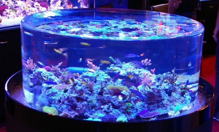 Sea clear acrylic aquarium