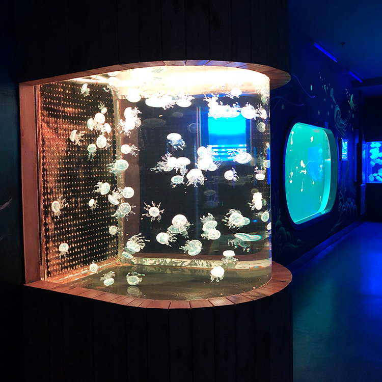 Bullet Aquarium Acrylic factory specializes in customized products with a shelf life of 20 years - LEYU