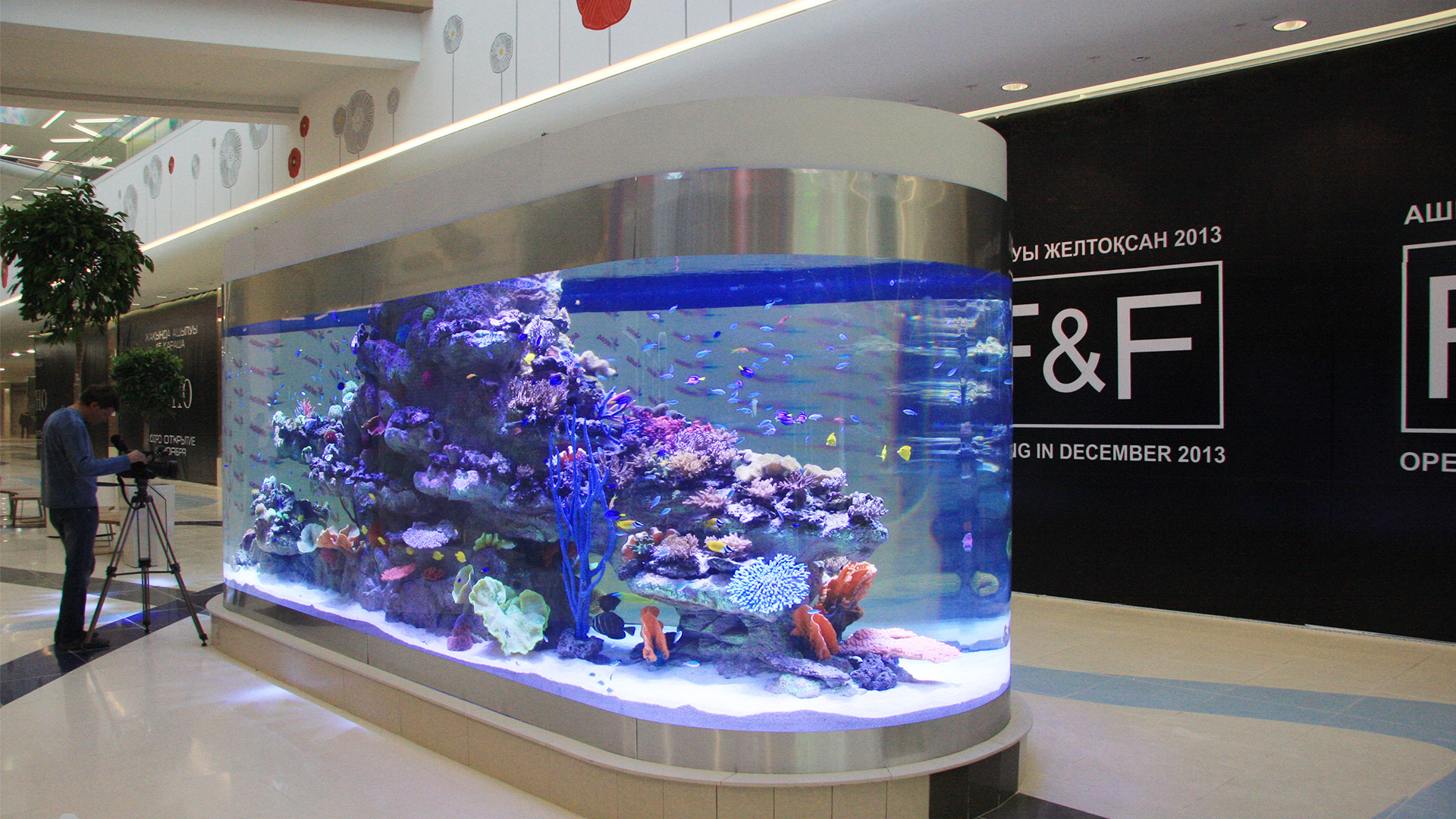 custom acrylic fish tank