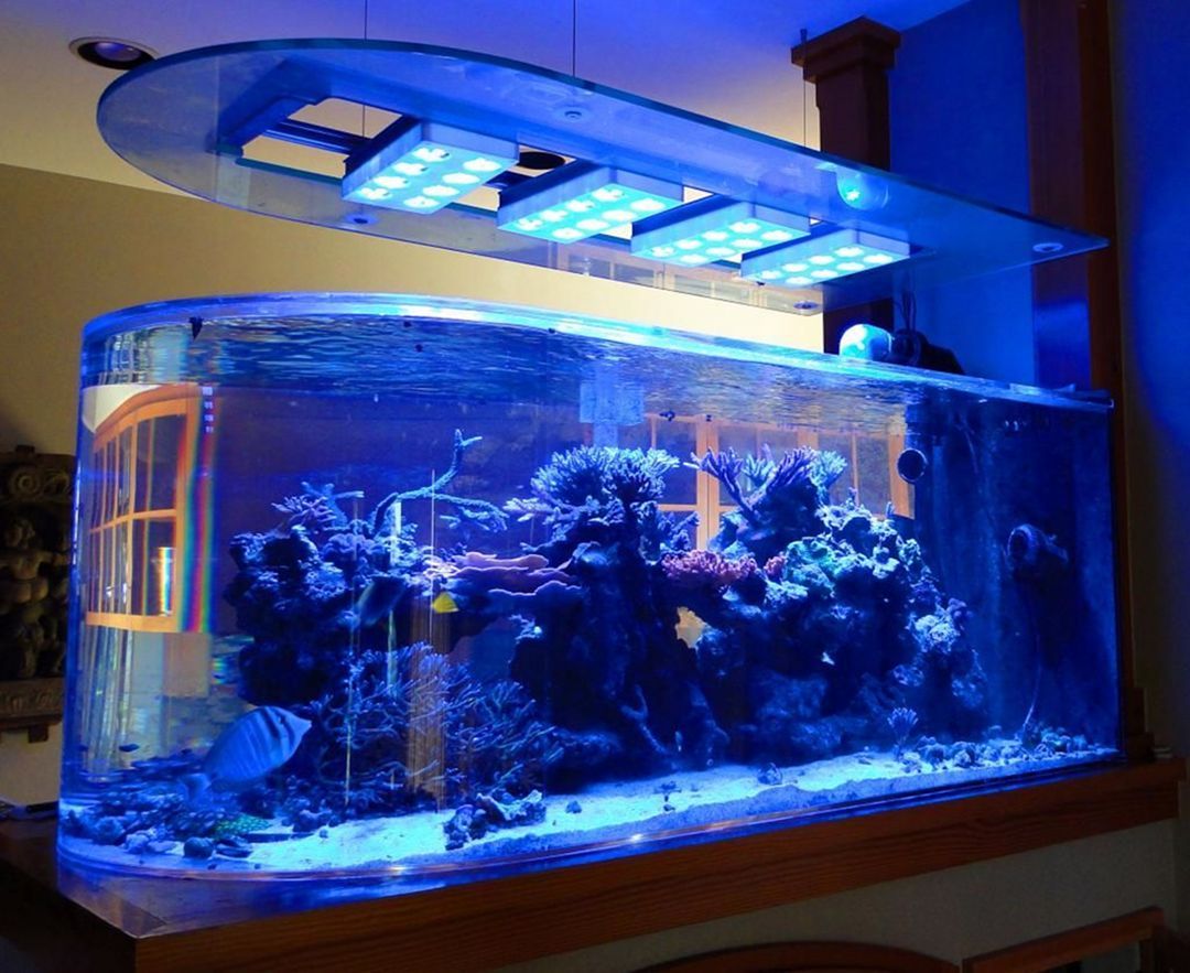 Acrylic custom fish tank - factory