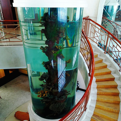 鱼缸230111 (8).jpg