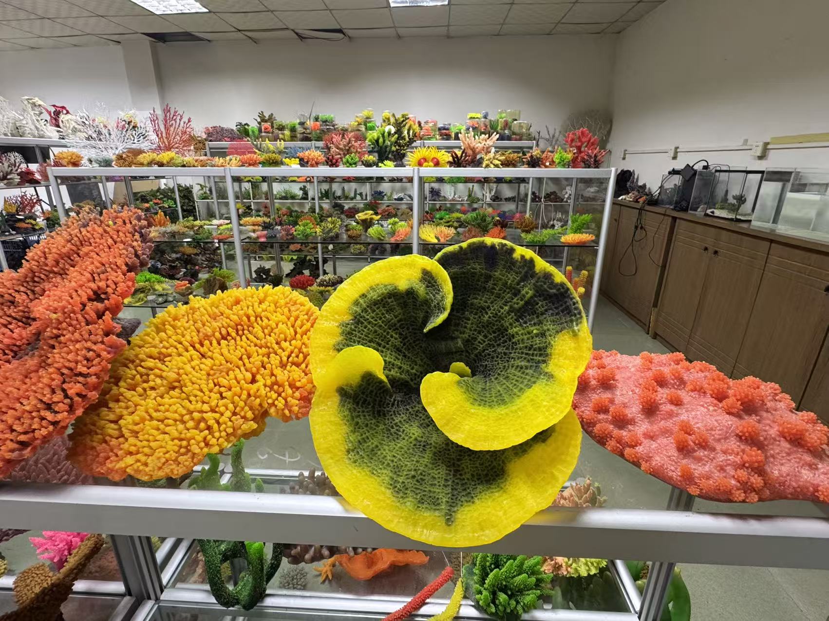 riblji akvarijski krajolik - Leyu