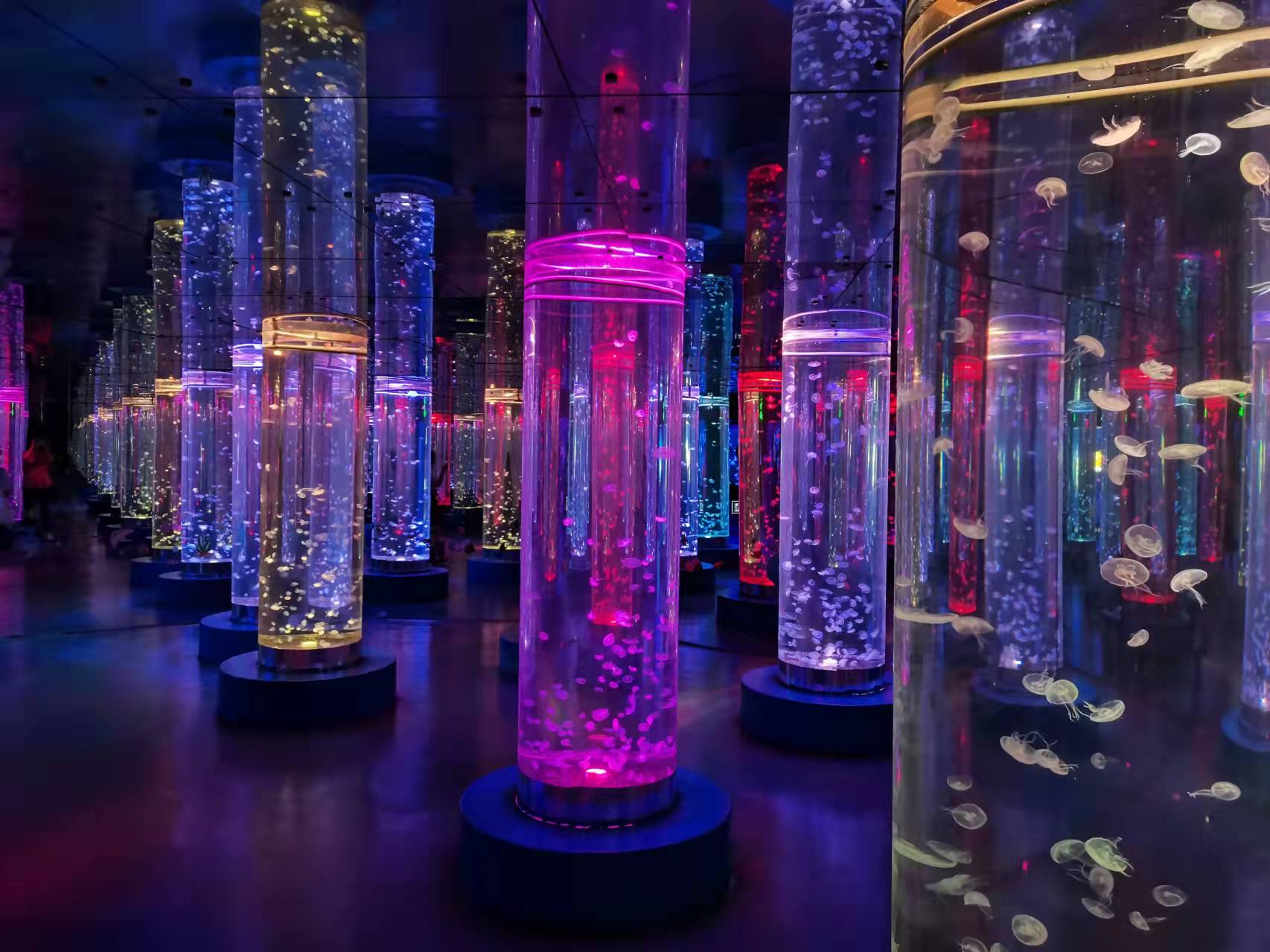 Using acrylic panels for a live jellyfish aquarium offers several benefits - leyu