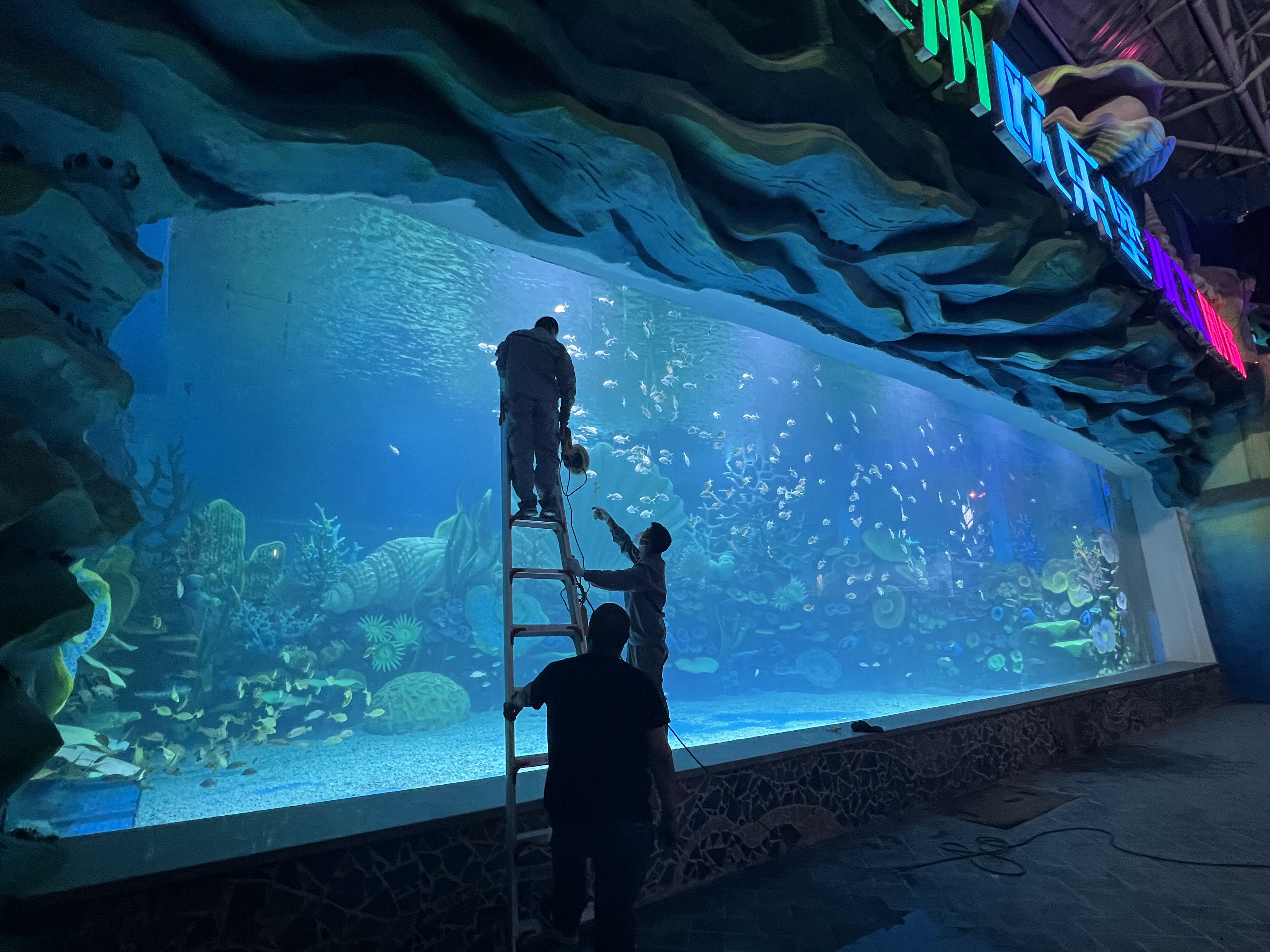 An aquarium with an acrylic pool window is spectacular