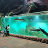 2024 Aquarium can not miss the curved aquarium window design - Leyu Acrylic Sheet Products Factory