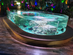 What Type of Acrylic is Used For Aquariums? - Leyu
