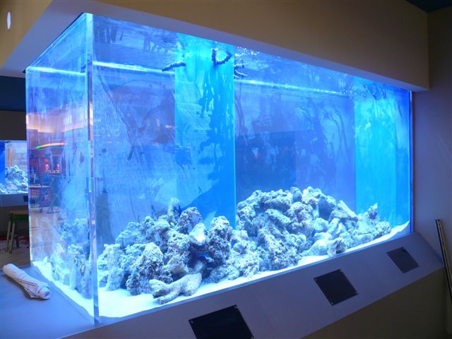 Tangi la samaki la Acrylic - Leyu