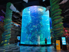 Large Cylinder Acrylic Aquarium fish tanks Factory - leyu