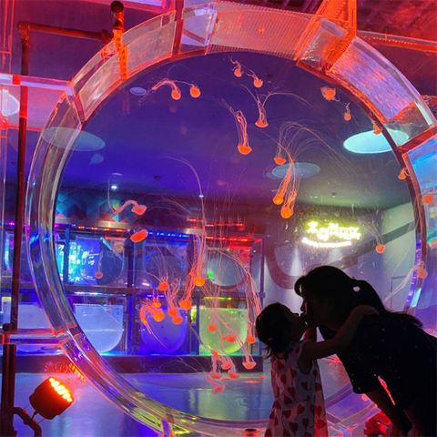 Jellyfish aquarium Maaari ba akong magkaroon ng dikya sa aking aquarium - Leyu