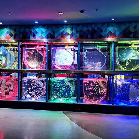 L'usine d'aquarium en acrylique Leyu produit un aquarium en acrylique de 100 gallons - Leyu 