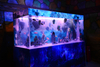 I want to custom a seaclear acrylic aquarium for sale - leyu Acrylic Factory