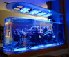 Bullet Aquarium Acrylic factory specializes in customized products with a shelf life of 20 years - LEYU