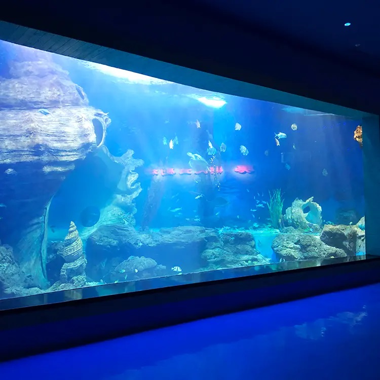 Is acrylic sheet safe for aquarium Aquarium acrylic sheets - Leyu