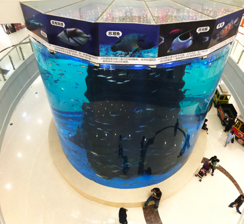 Custom Acrylic Aquarium by the Leyu acrylic aquarium factory - Leyu 