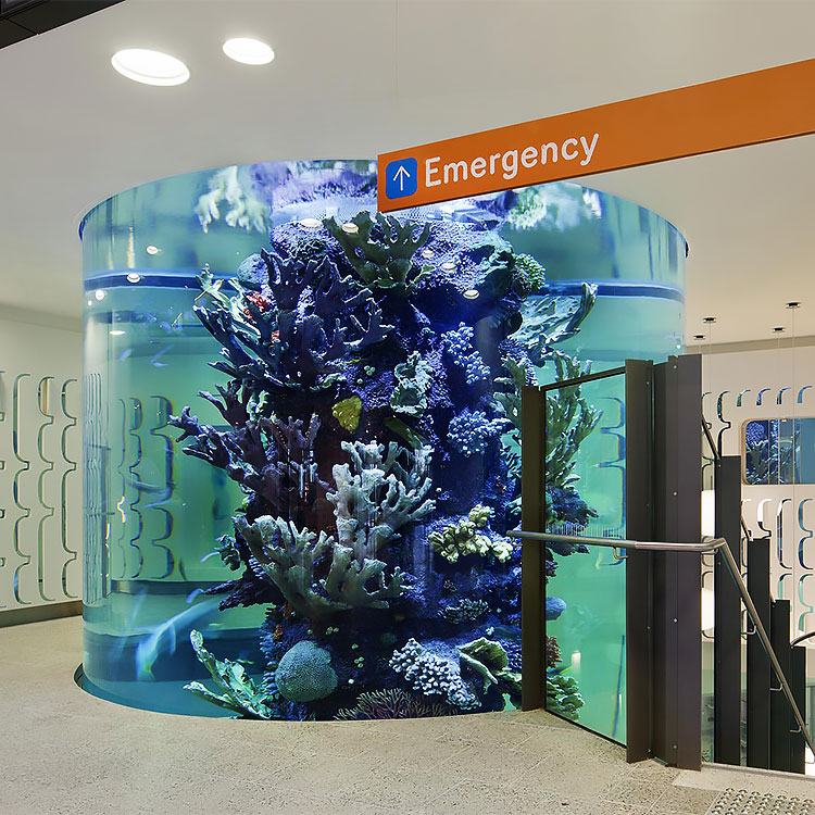 acrylic aquarium tanks