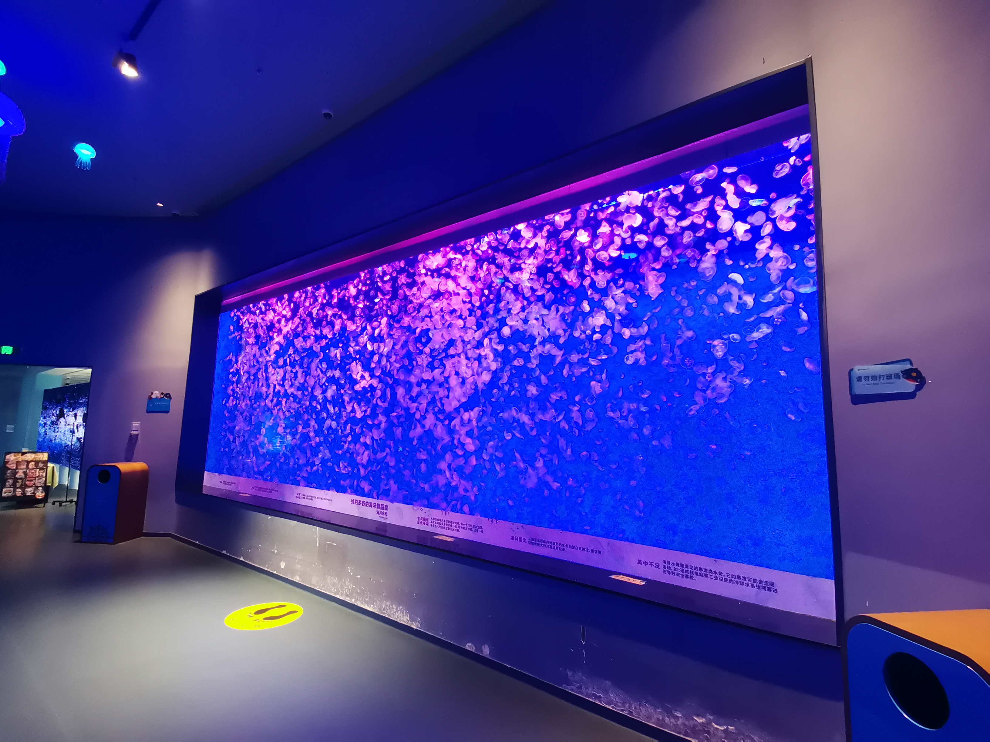 Custom acrylic fish tank - LEYU 