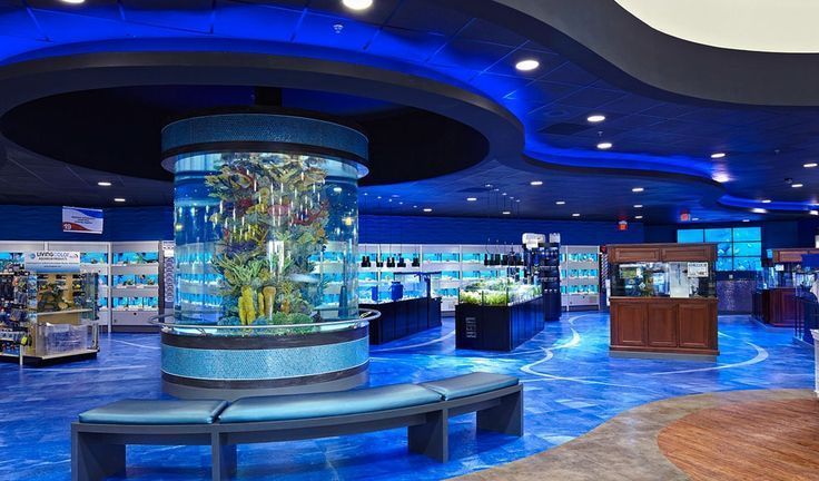 What is the best acrylic to build a seaclear acrylic aquarium - Leyu Acrylic Sheet Products Factory