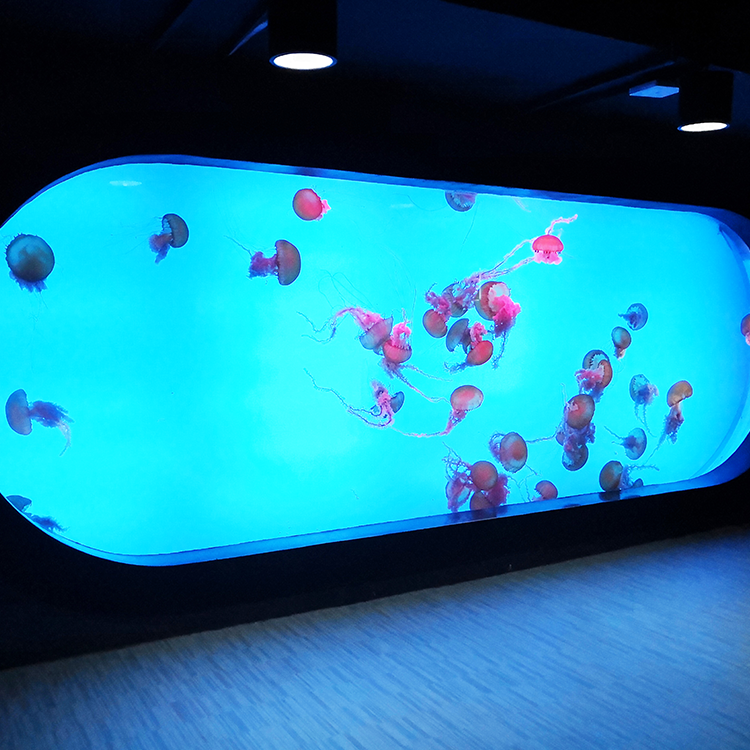 100 gal acrylic aquarium 