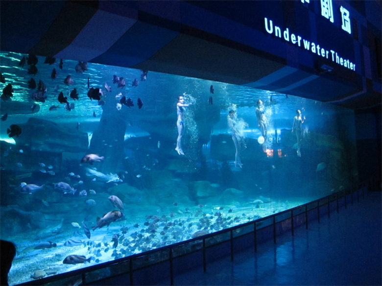 Luxury Design Custom Acrylic View Window For Aquarium