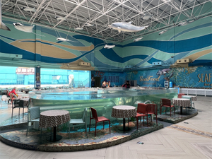  Why is my fish tank cloudy after 1 day Leyu Acrylic factory for your answer - leyu