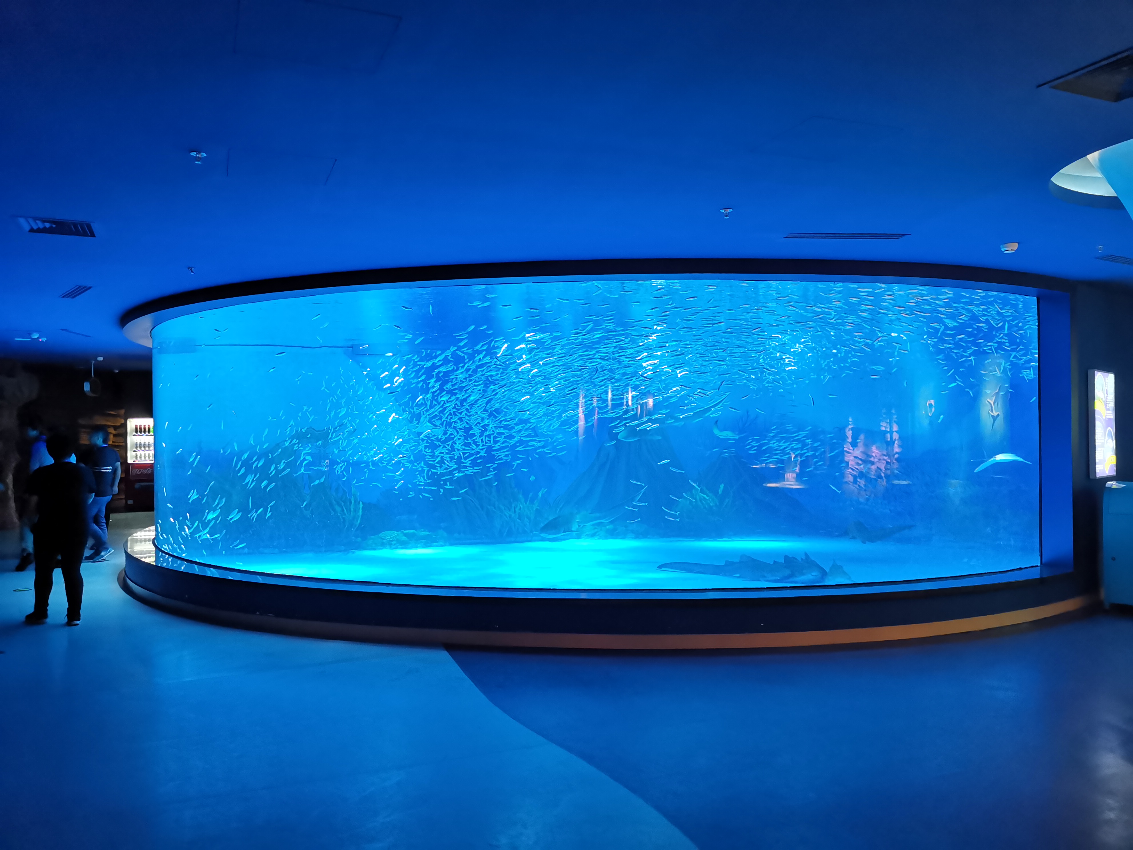 Acrylic window aquarium panel - LEYU