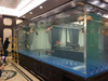 Leyu acrylic tell you that Glass or seaclear acrylic aquariums Which is Best for You - Leyu