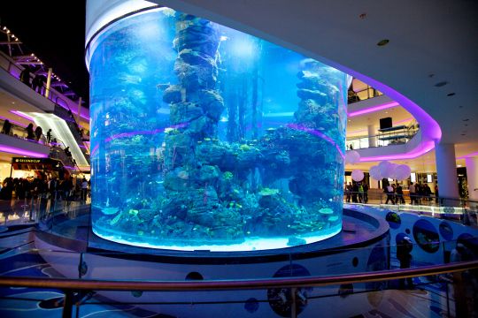 Acrylic custom fish tank - manufacture
