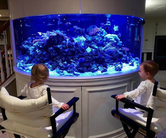 Acrylic custom fish tank - Manufacturer