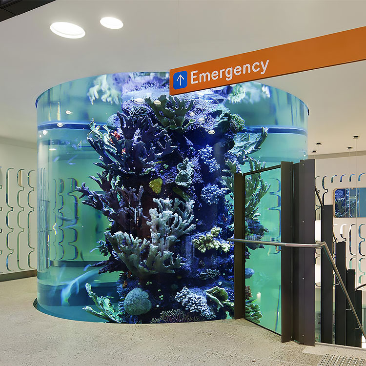 We will show you Acrylic Aquarium popular Designs in 2024 - Leyu