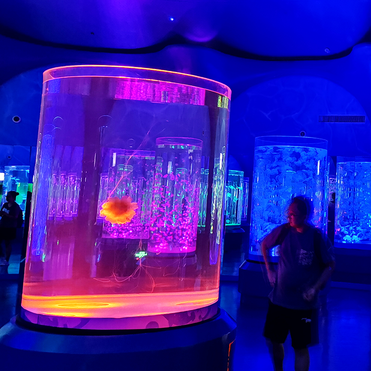 Custom acrylic jelly fish aquarium tank jellyfish tank what styles - Leyu