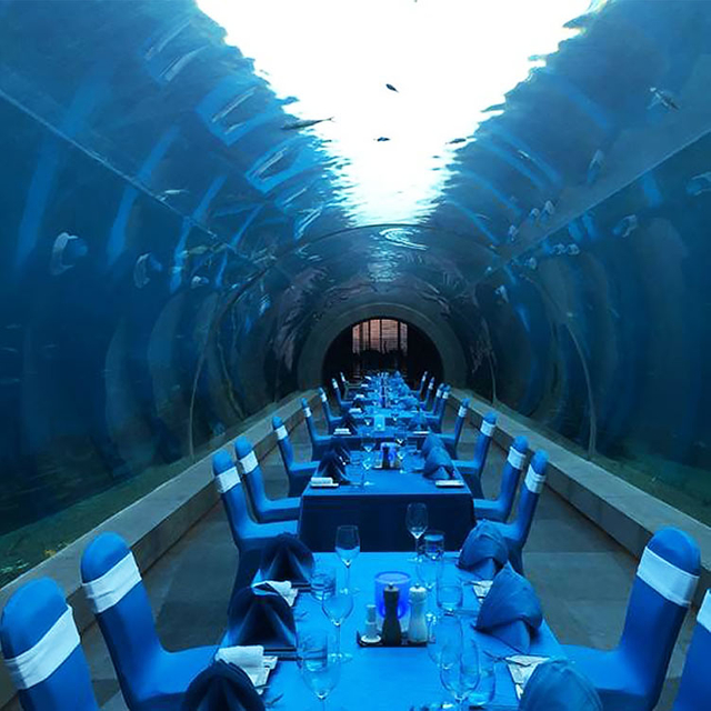 Oceanarium Underwater Shark tunnel Aquariums in Ocean Park - Leyu Acrylic Sheet Products Factory