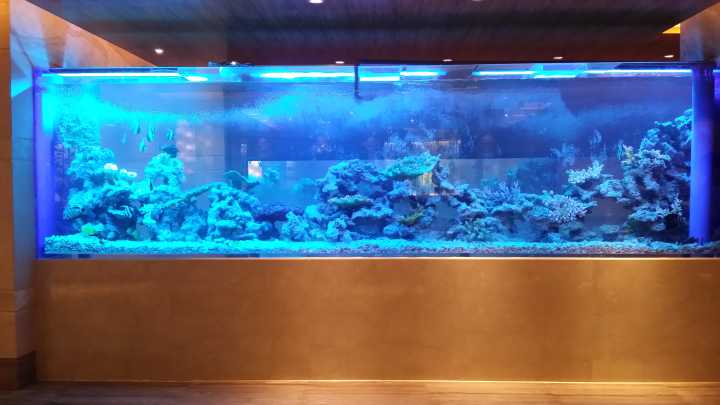 Acrylic custom fish tank - factory