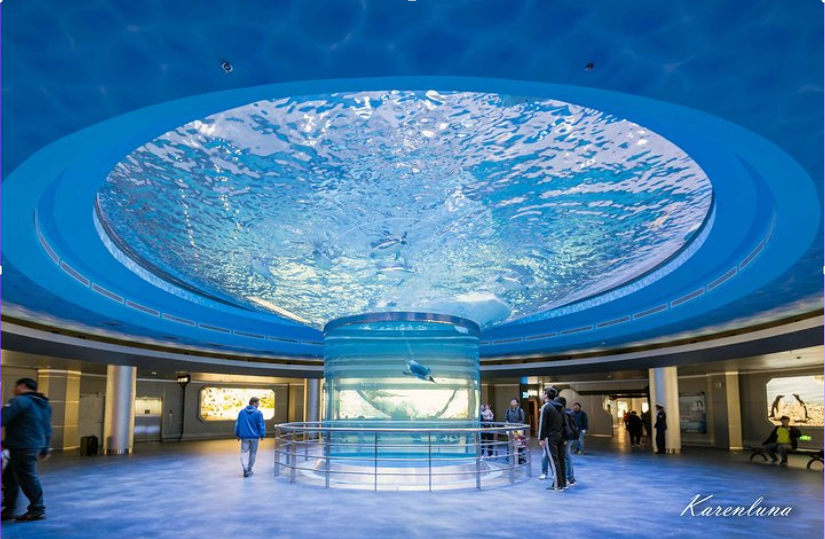 Large Acrylic Cylinder Aquarium fish tanks Installed in a Shopping Mall - Leyu acrylic