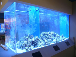  How to build a high quality fish tank with good price - Leyu acrylic