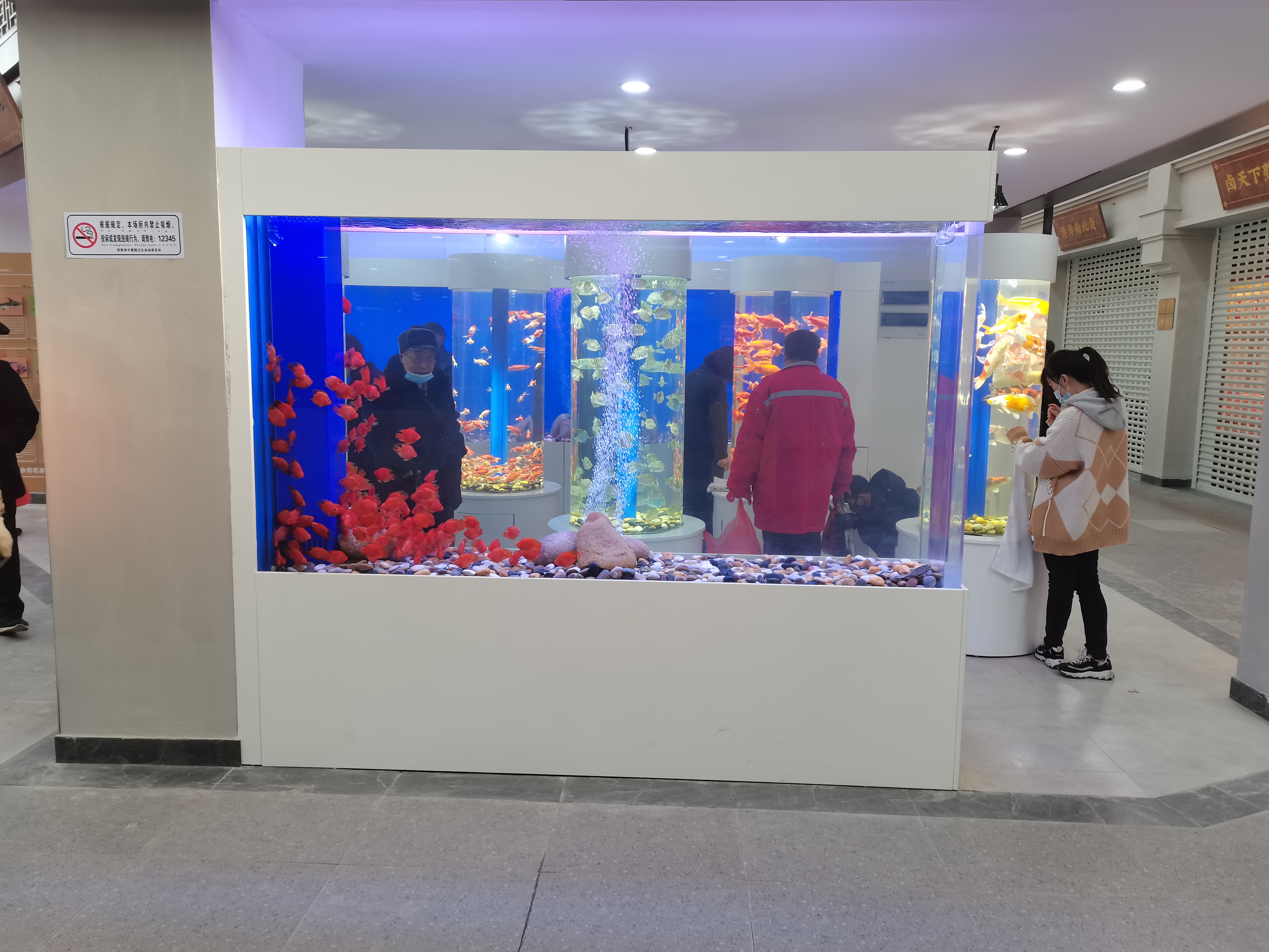 Acrylic custom fish tank - factory