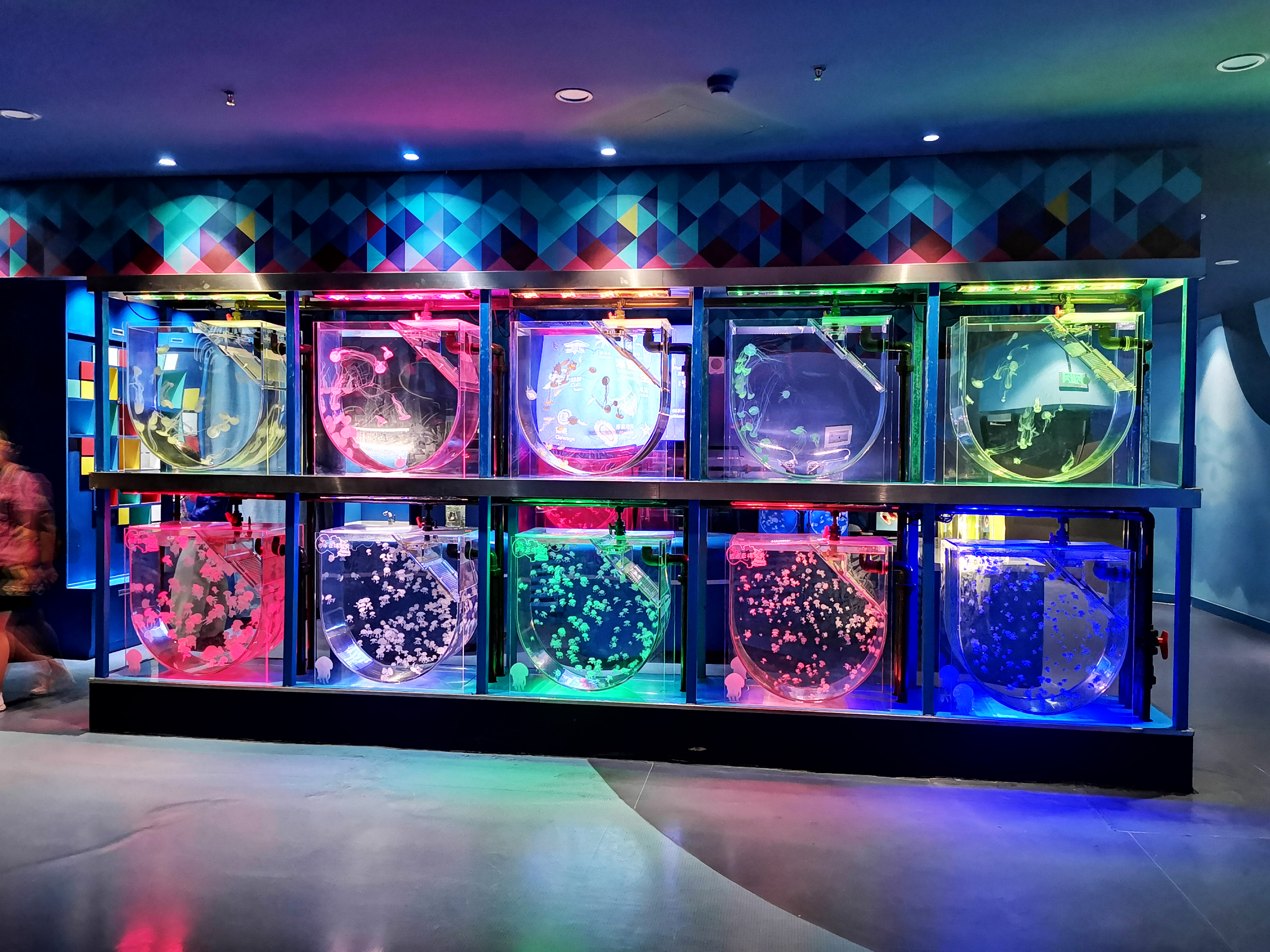 Acrylic jellyfish tank - LEYU