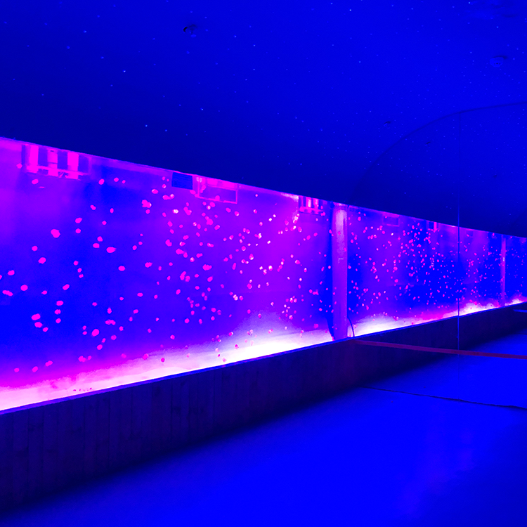 Acrylic jellyfish tank - LEYU