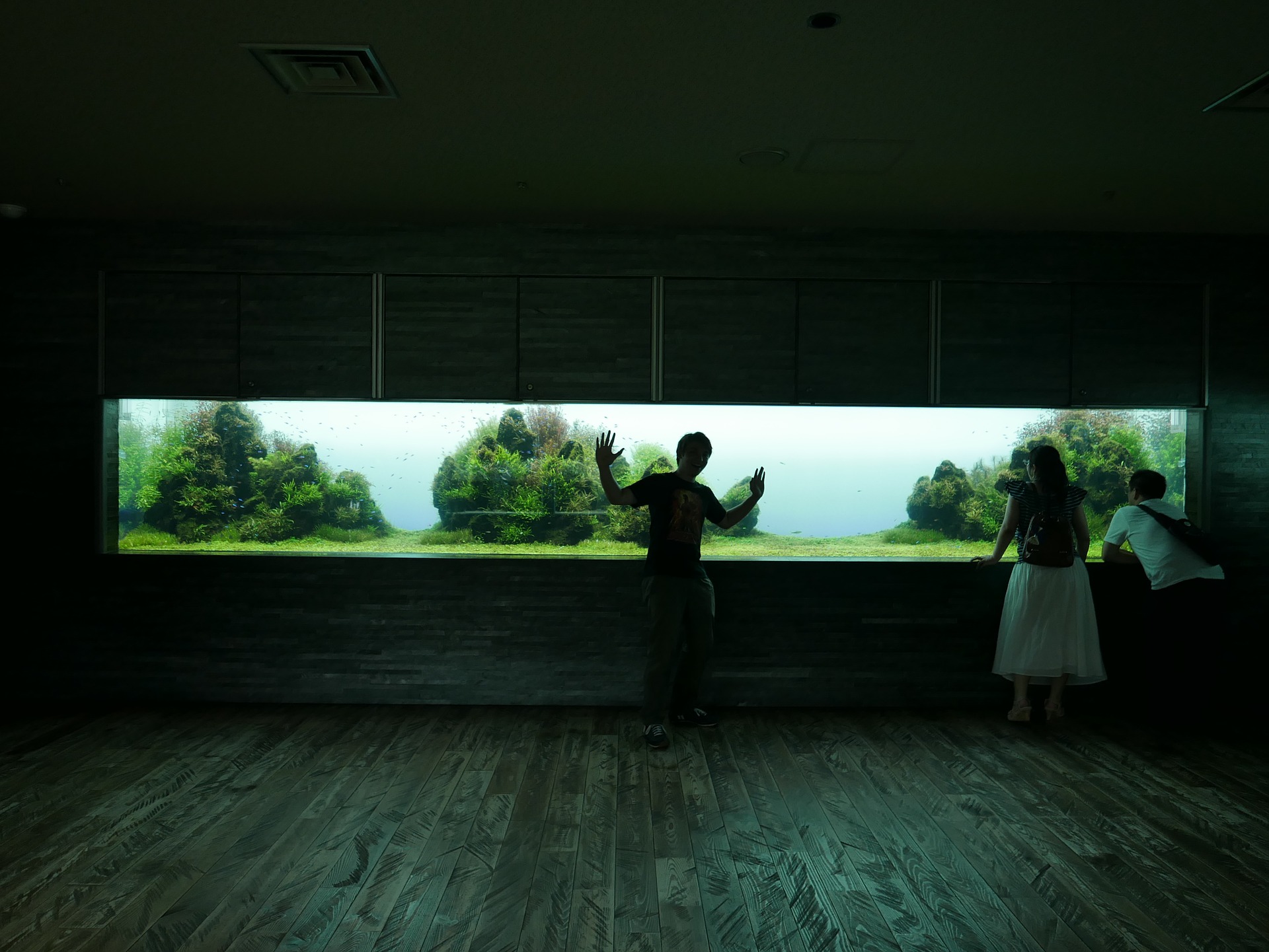 Acrylic fish tank aquarium