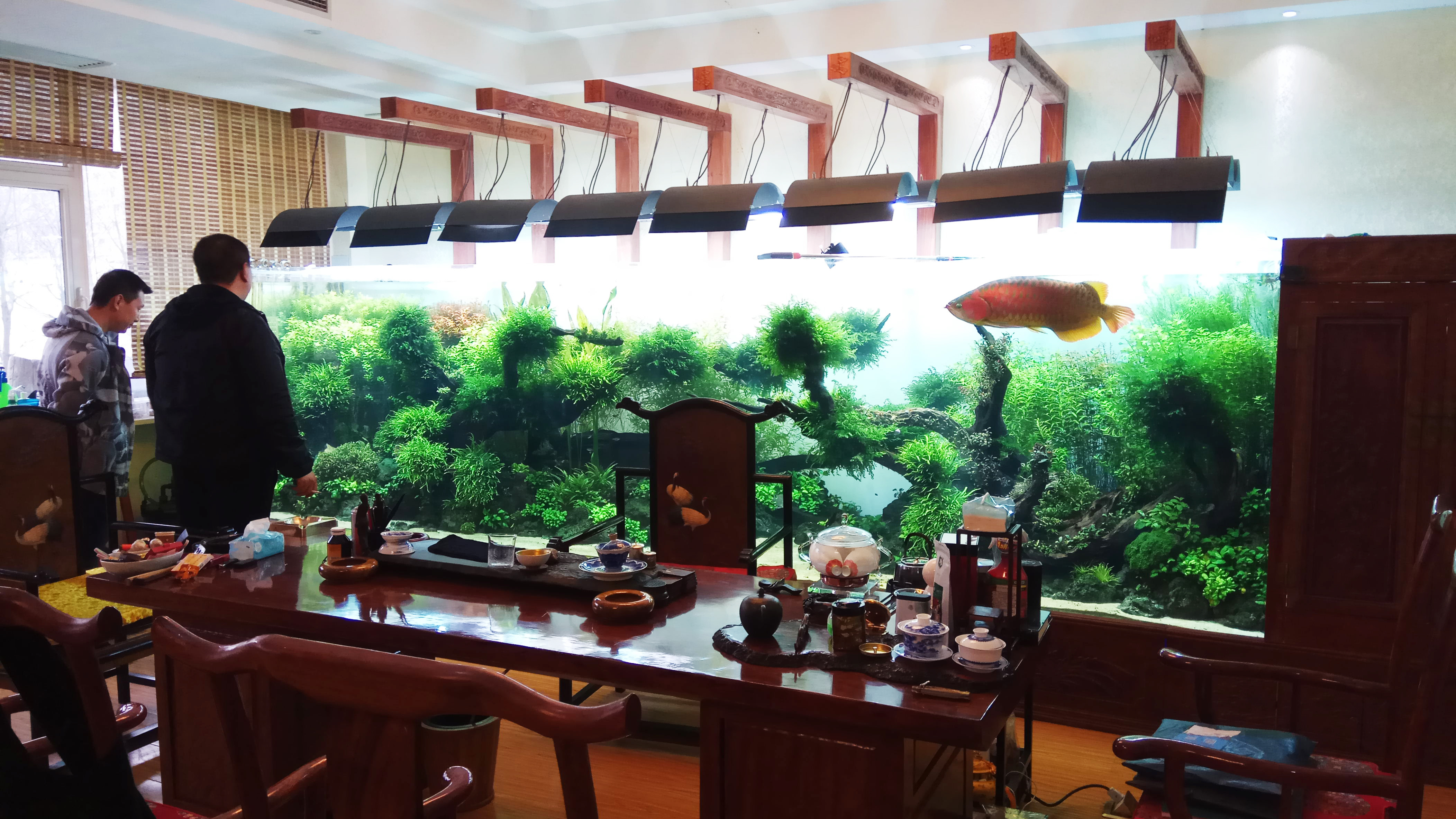 Acrylic fish tank - LEYU