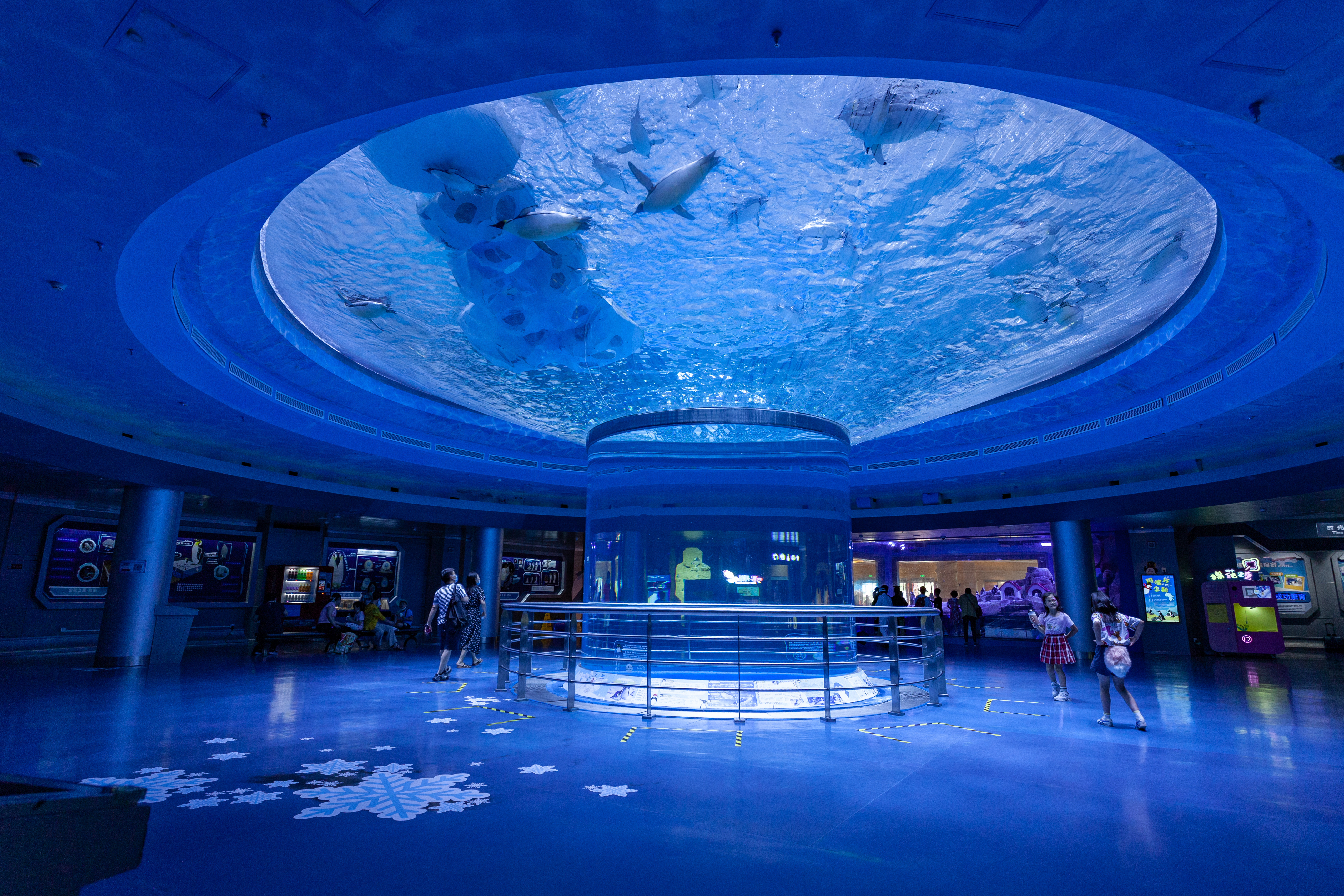 How to Create More Popular Aquatic Landscapes?