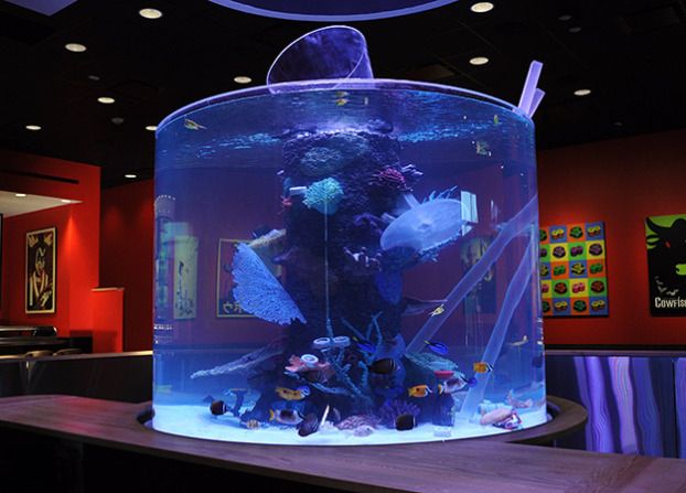 We can provide large aquarium acrylic fish tank production and installation - Leyu