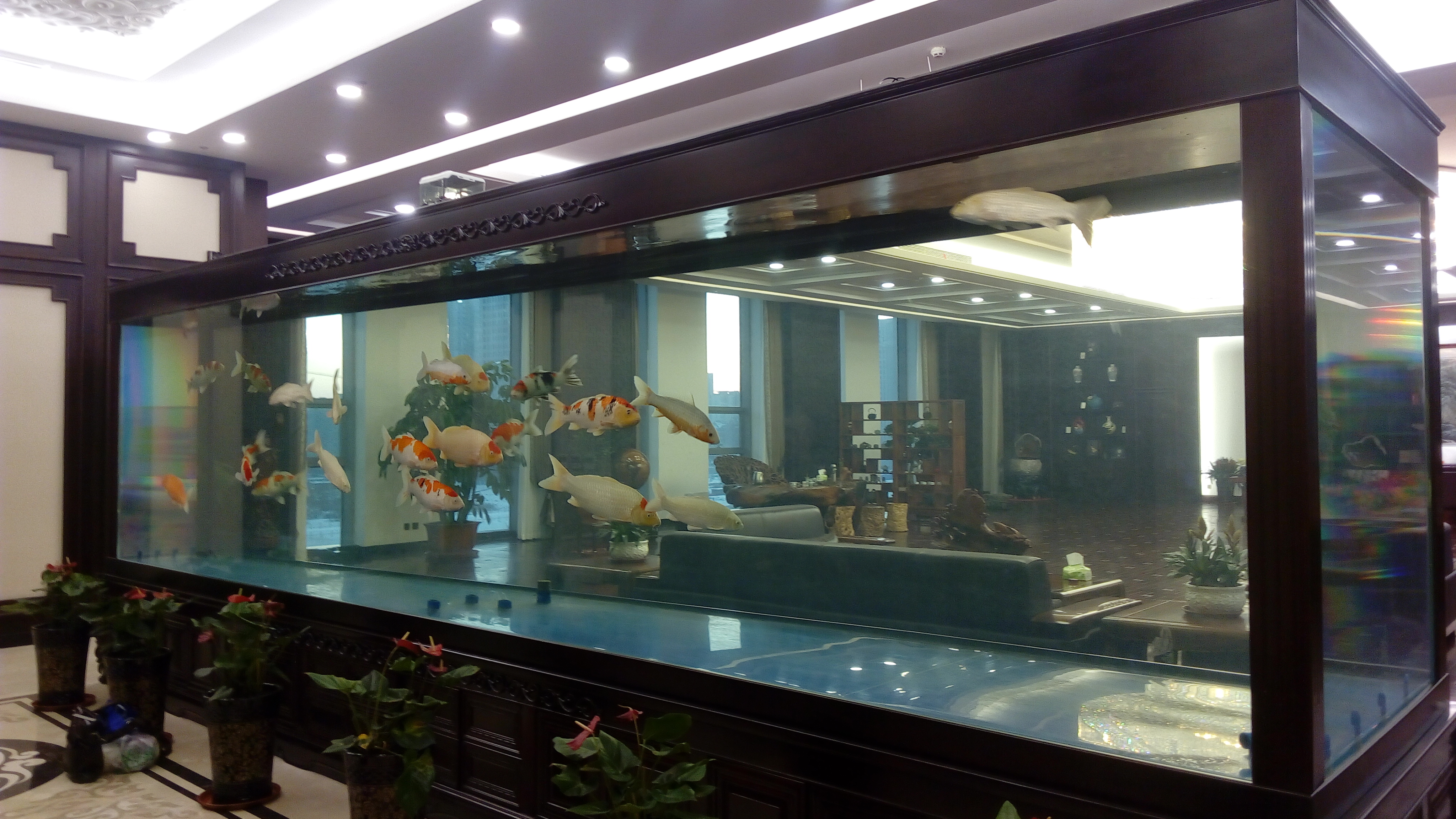 Acrylic custom fish tank - factory