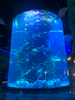 Large acrylic fish tank custom manufacturers popular in the Middle East - LEYU 