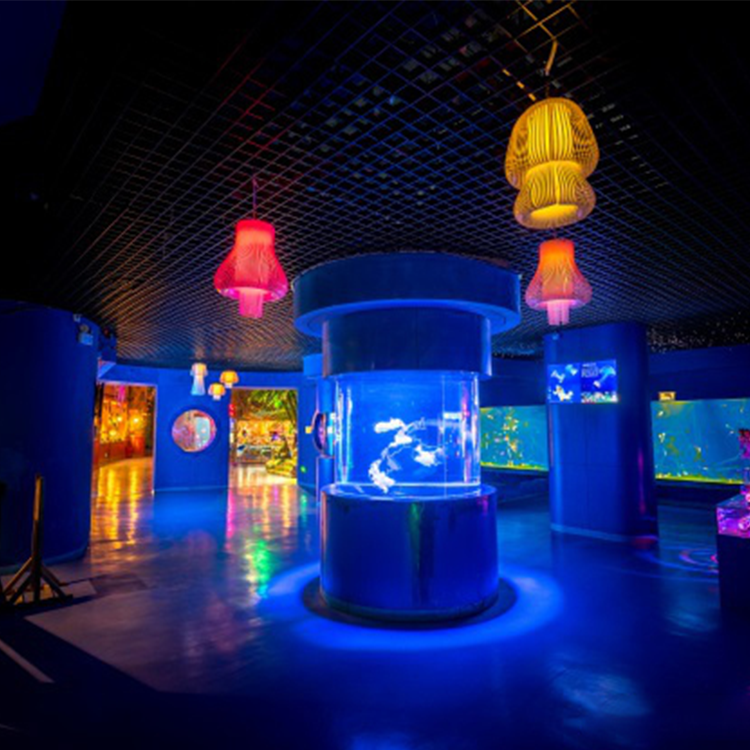 100 gal acrylic aquarium 