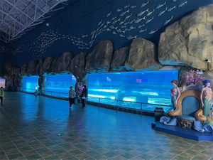 Lisbon oceanarium explore the ocean world oceanarium Leyu Acrylic Aquarium factory specializes in the construction of oceanarium. - Leyu