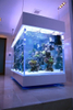 Acrylic aquarium tanks - Leyu