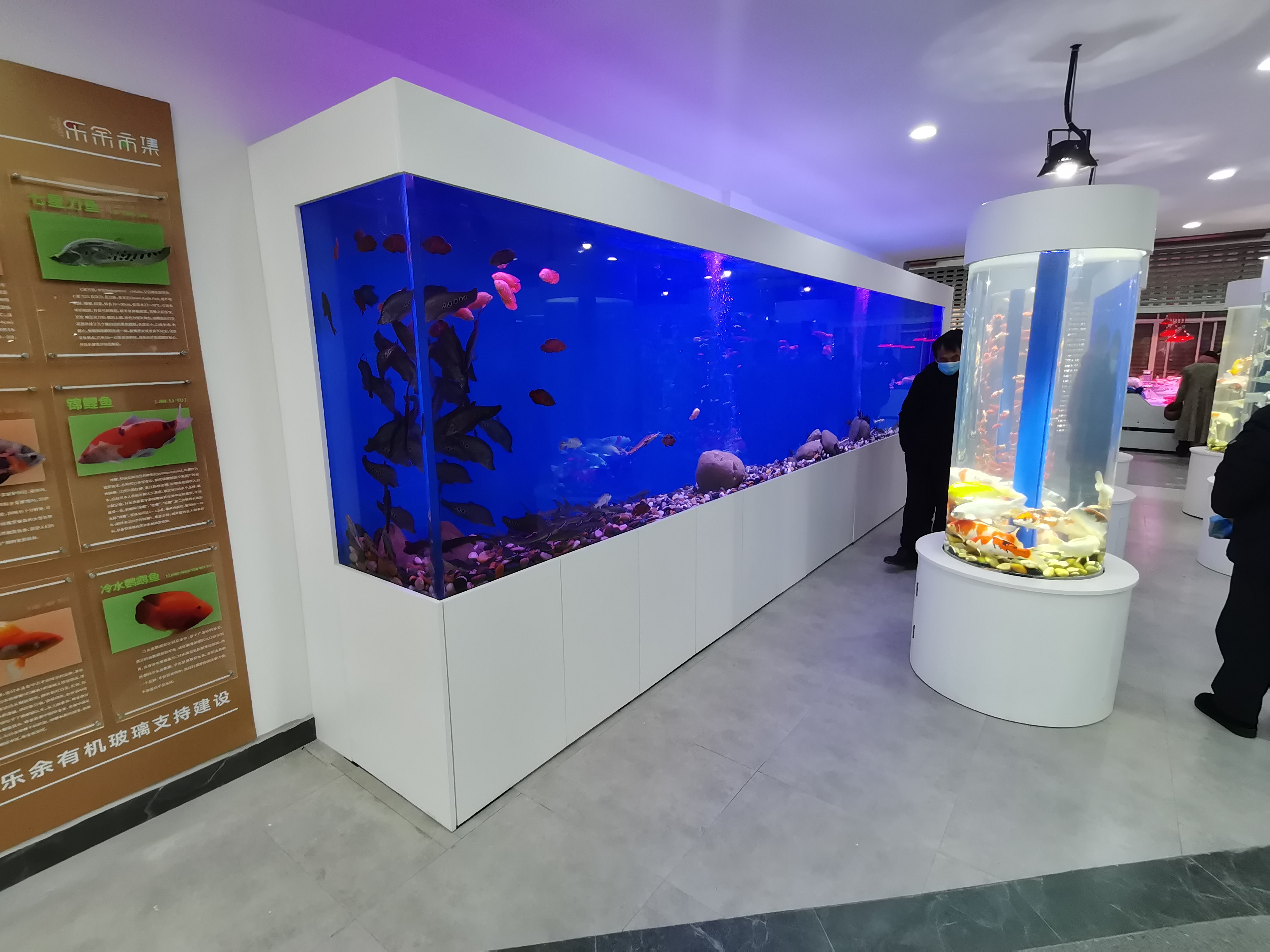 Acrylic custom fish tank - manufacture