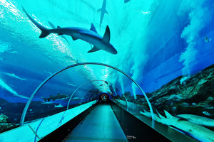 How to construct an underwater tunnel Please pay attention to Leyu Plexiglass products factory- Leyu 