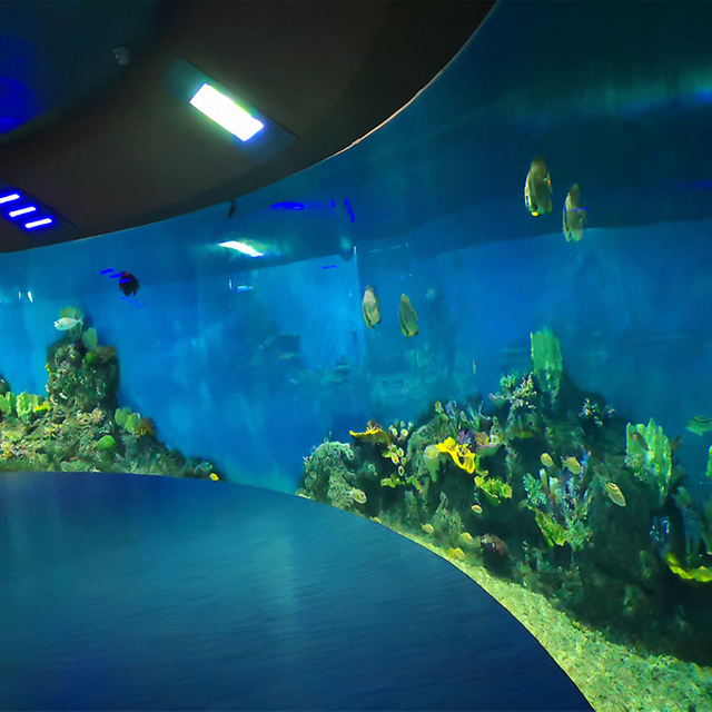 What are the benefits and drawbacks of using acrylic sheets instead of glass in fish tanks- Leyu Acrylic Sheet Products Factory