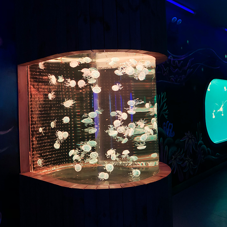 Custom acrylic jellyfish tank